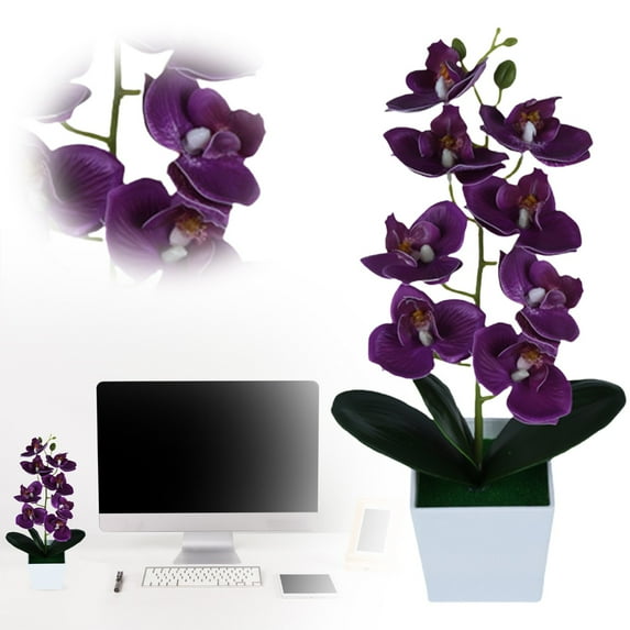 1 Pot of Simulated Phalaenopsis Set Artificial Flowers in Pot Decor Orchid Flower Arrangements Faux Flowers Bouquets in Pot Table Centerpieces Holiday Dinning Coffee Room Table Kitchen Decoration