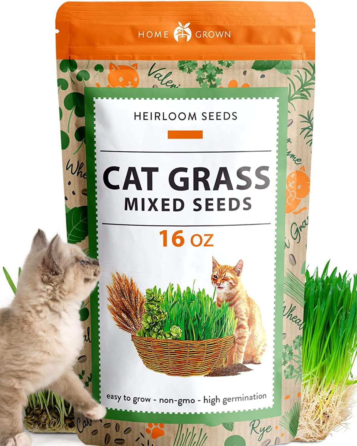 1 Pound Cat Grass Seeds for MVR1&nbsp;Cat & Kittens - Heirloom | Grow Fresh Kitty Grass for Chewing | Pet Grass for Cats Indoor Garden | Wheatgrass Seeds for Pets | Healthy Cat Greens