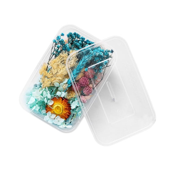 Puwuzcl 1 Real Dried Flower Resin Fillings Expoxy Flower for Epoxy Resin Jewelry Making Craft DIY Supplies Accessories (forget Me Not) Wedding Garlands Flowers Bouquet Flower 8 Bundles Flowers