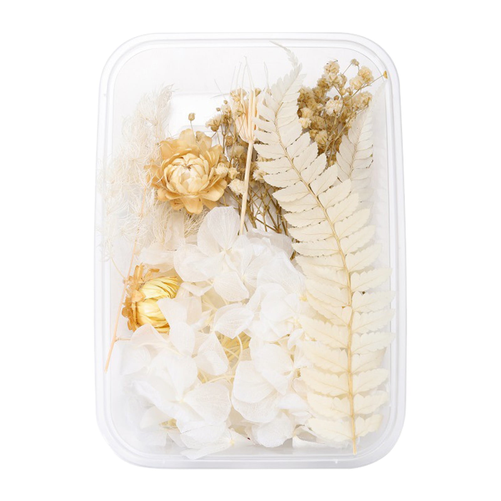 1 Real Dried Flower Resin Fillings Expoxy Flower For Epoxy Resin