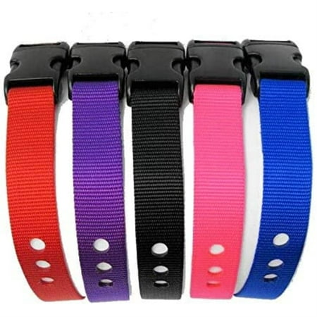 1" Replacement Strap - Purple