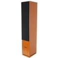 Rockville RockTower 68C 125 Watts Continuous Power Tower Speakers ...