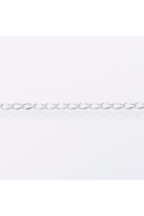 1 Roll Tarnish Resistant 304 Stainless Steel Twisted Chains Curb Chains Soldered with Spool Stainless Steel Color 4x2x0.4mm 32.8 Feet(10m)/roll