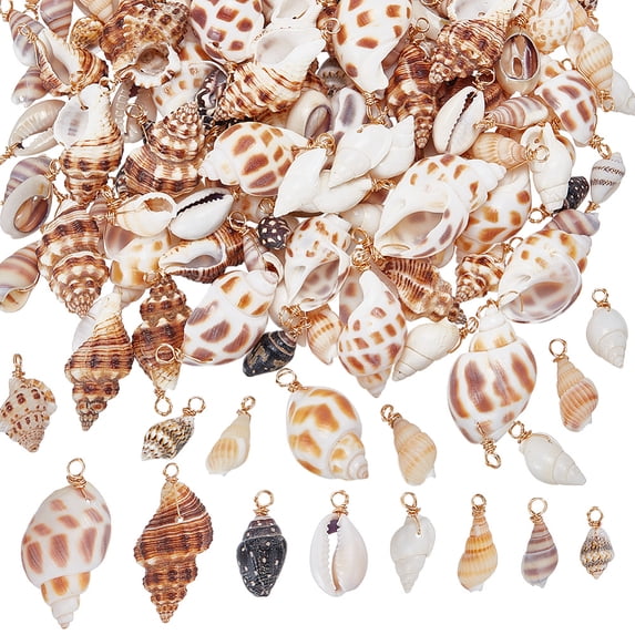 1 Set 160Pcs 8 Styles Natural Mixed Shell Pendants Shell Shape Charms ...