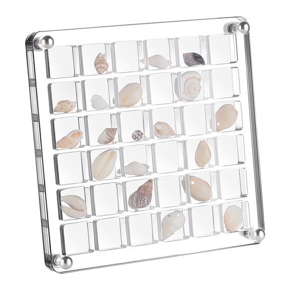 1 Set 36 Grids Acrylic Shell Storage Box with Lid Shell Organizer Display Case Square Clear 12x12x1.1cm