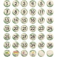 thumbnail image 1 of 1 Set 42Pcs Number Theme Self-Adhesive Paper Decorative Stickers for Party Decorative Presents Sealing Leaf 100x100mm, 1 of 7