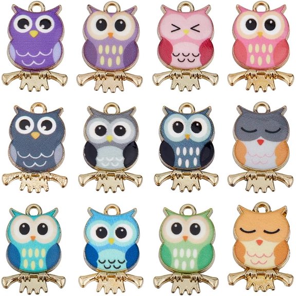 1 Set 48Pcs 12 Styles Painted Alloy Pendants Owl Charm Cadmium Free & Nickel Free & Lead Free Golden Mixed Color 21.5x15x2.3mm Hole: 2mm 4pcs/style