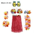 thumbnail image 1 of 1 Set 80cm Adult Party Hawaii Dress Hula Grass Skirt, 1 of 6