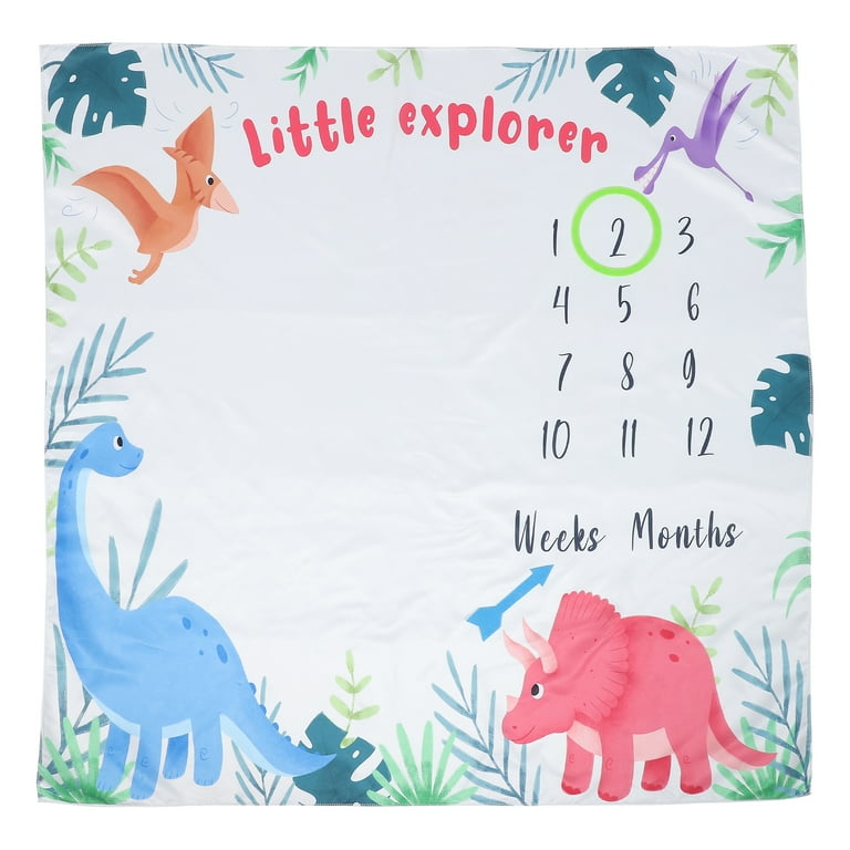 Dinosaur baby month blanket hotsell