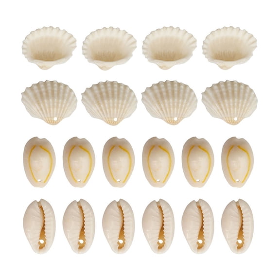 1 Set Beach Conch Shells with Hole Natural Shell Beads Crafting Supplies