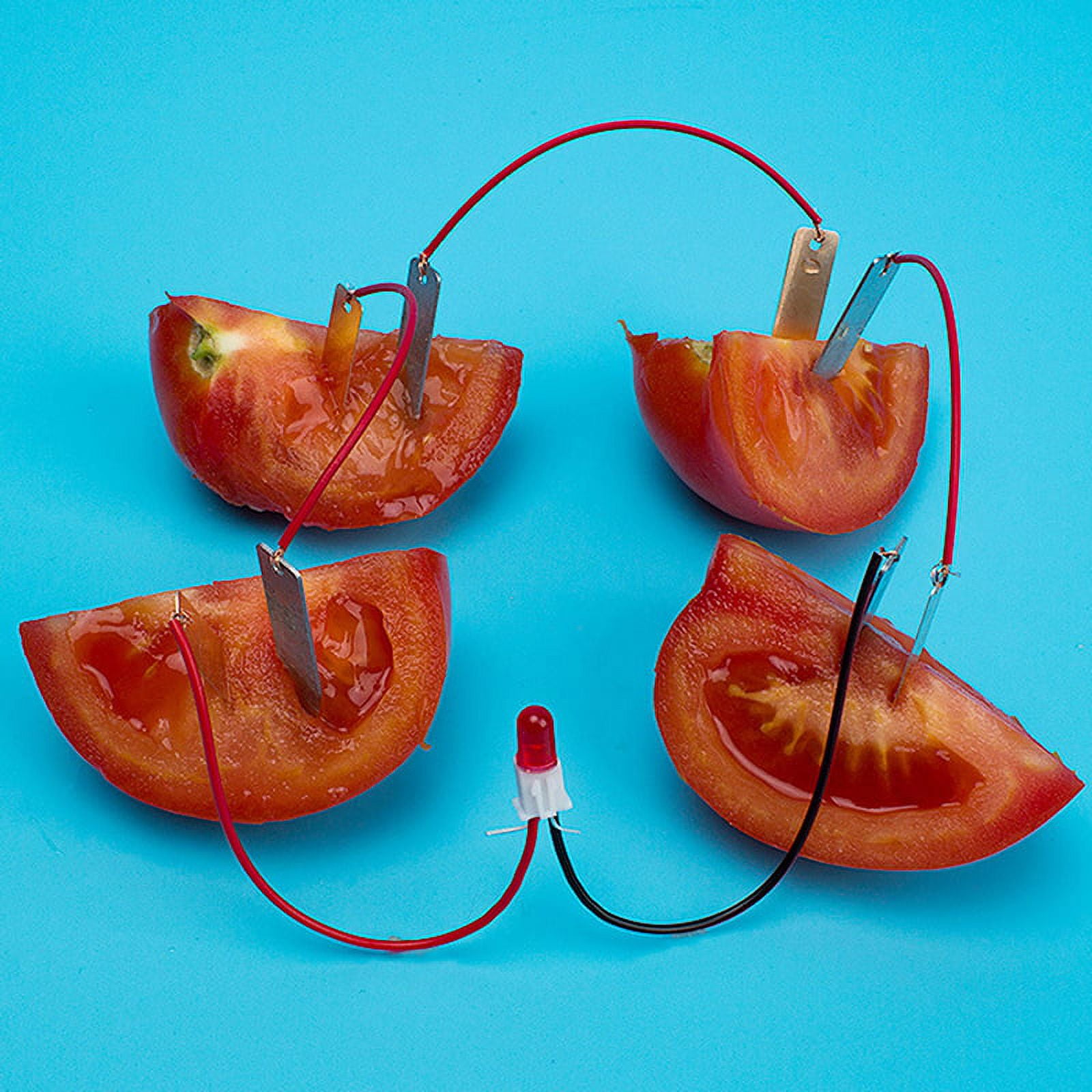 1 Set Children Bio Energy Science Kit Potato Fruit Supply Electricity