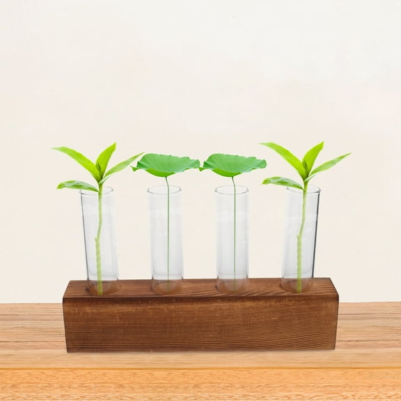 1 Set Glass Bud Vases with Wooden Stand Plant Propagation Station Hydroponic Planter