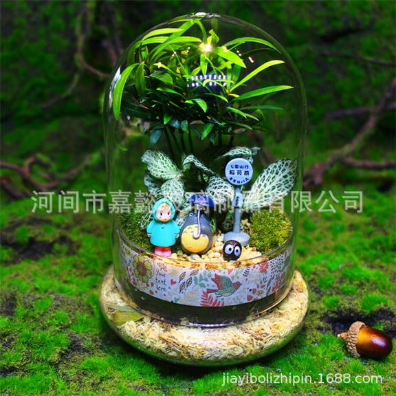 1 Set Transparent Glass Dome Display Cover with Base, Perfect for Eternal Flower Preservation and Decorative Display