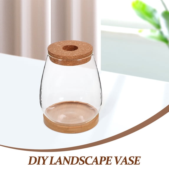 1 Set Clear Glass Hydroponic Terrarium Planter Bottle with Lid, Moss Plant Holder for Indoor Gardening and Decoration
