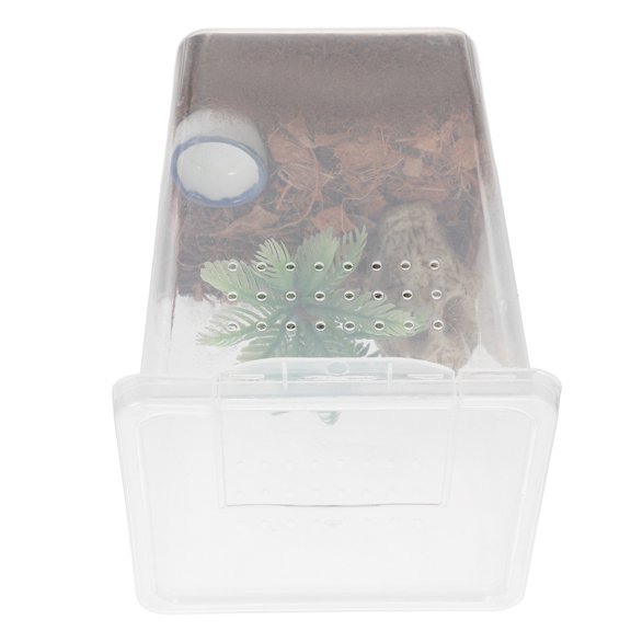 GOOHOCHY ABS Spider Cage with Escapeproof Design for Home Use Easy to Clean and Observe 1 Set