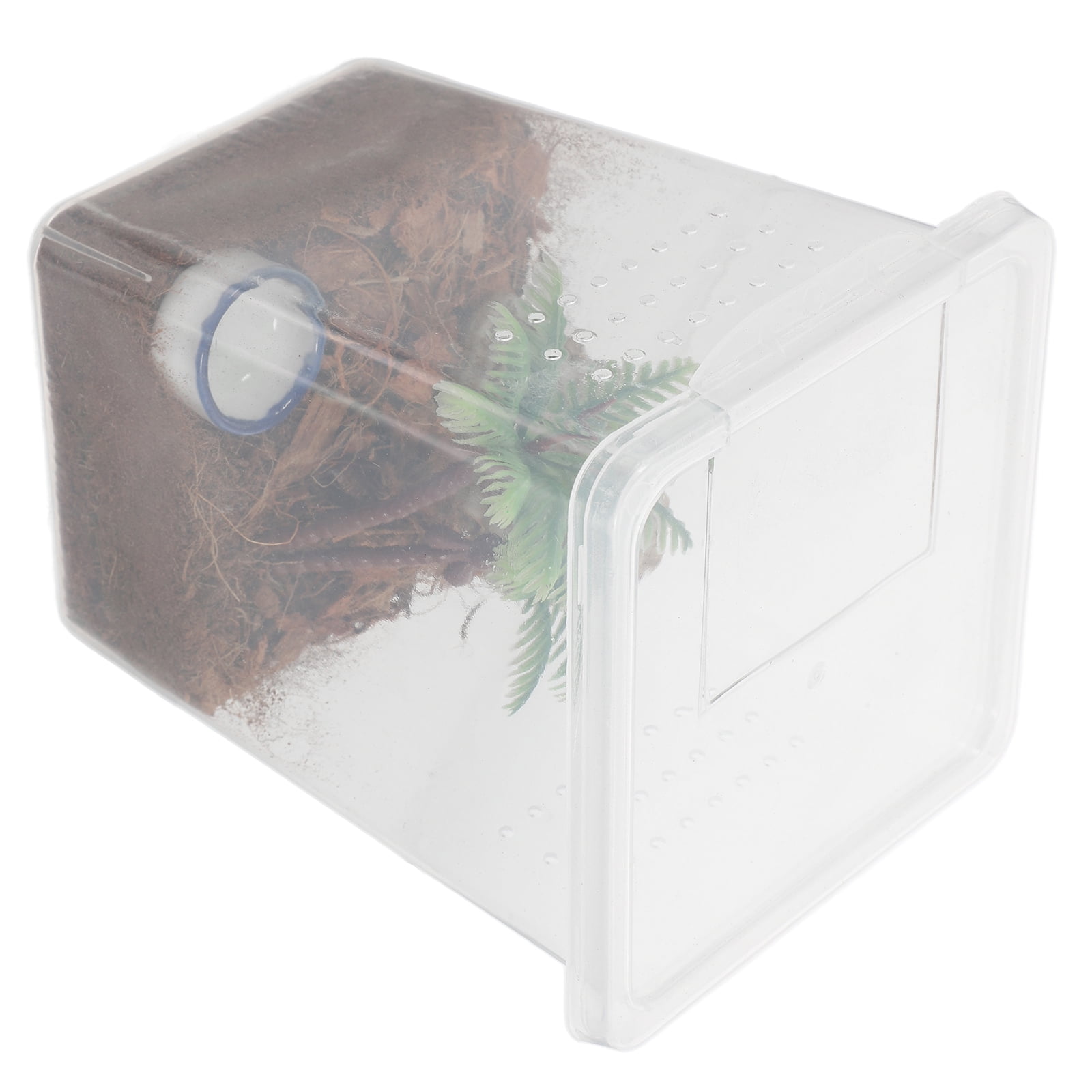 1 Set Of Jumping Spider Feeding Box Spider Cage Plastic Spider Pet Box ...