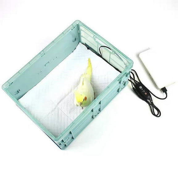 brooder box 1 Set Plastic Parrot Incubator Young Birds Hatch Box Parrot Brood Supplies With Heating Pad