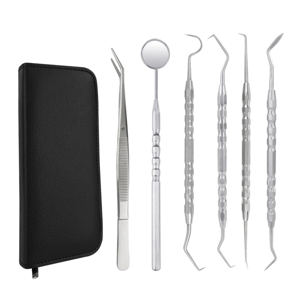1 Set of 6Pcs Dentist Mouth Tool Cleaning Tools Stainless Steel Teeth Scaler Probe Oral Care Kit PU Leather Dental Oral Care Set