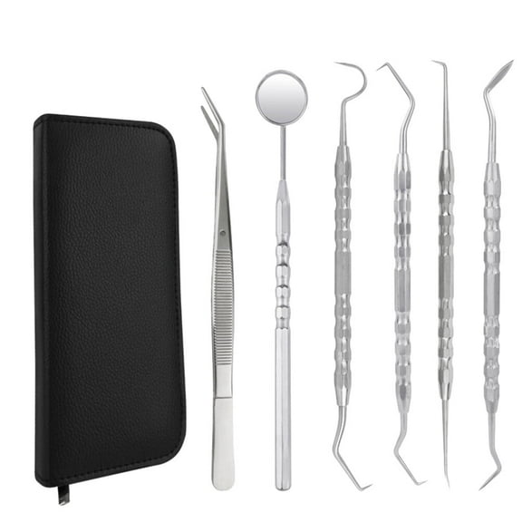 1 Set of 6Pcs Dentist Mouth Tool Cleaning Tools Stainless Steel Teeth Scaler Probe Oral Care Kit PU Leather Dental Oral Care Set