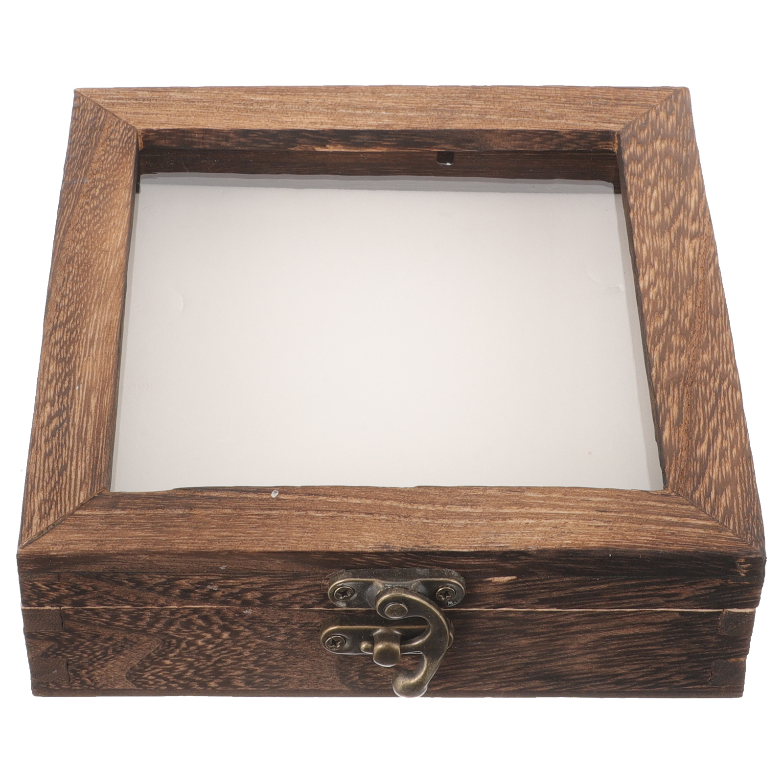 1 Set of Butterflies Specimen Display Box Insect Specimen Box Dried