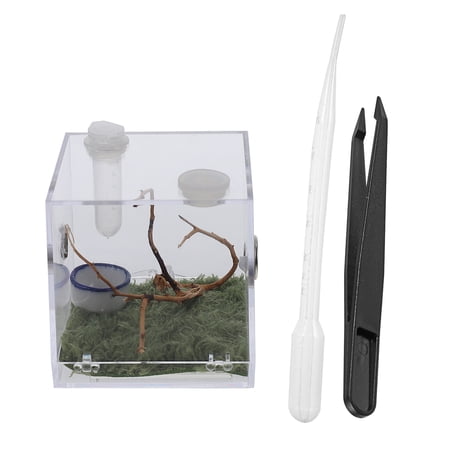 1 Set of Spider Habitat Box Small Pet Insect Breeding Box Jumping Spider Micro Box