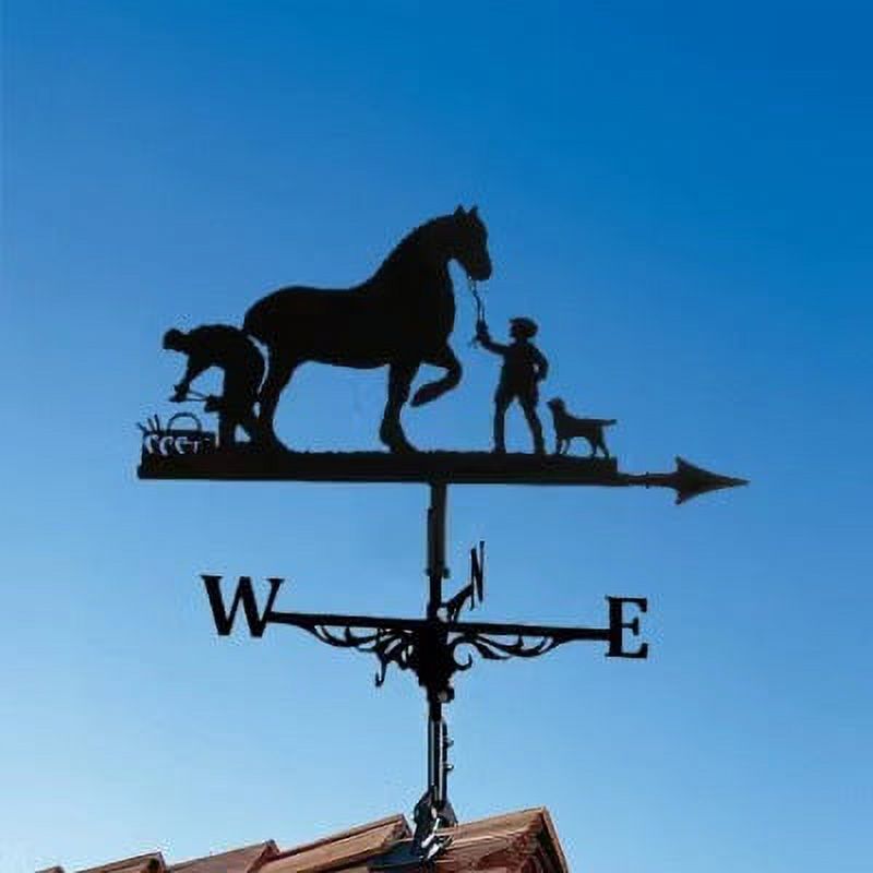 1 Set of Weather Vane Vintage Weather Vane Wind Metal Direction