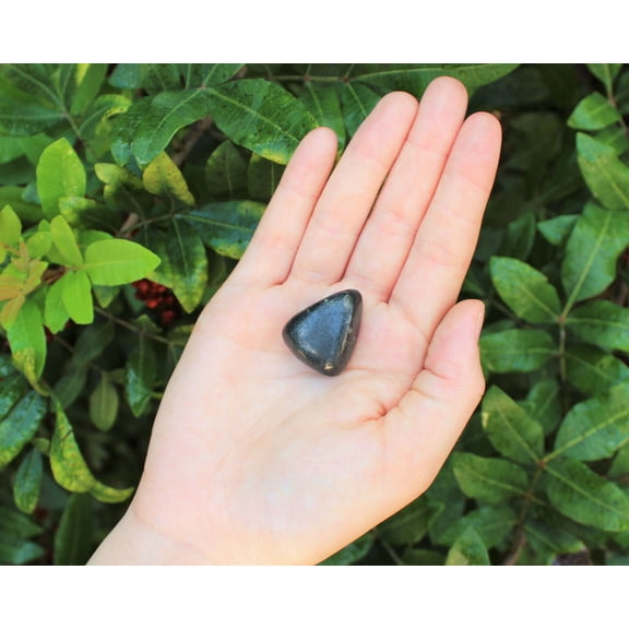1 Shungite Specimen Tumbled Stone; Medium (Crystal Healing Gemstone Reiki)