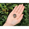 thumbnail image 1 of 1 Single BLACK Moonstone Tumbled Stone (3/4" - 1"), Crystal Healing Reiki Tumble, 1 of 6