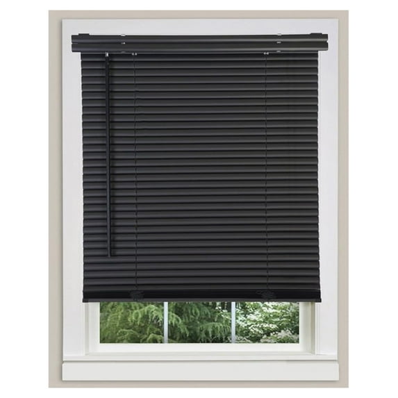 1" Slats Cordless Window Blinds, 48L x 32W Inches Solid Pattern Light Filtering Vinyl Indoor-Outside Ceiling Mount Mini Blind, Manual Cordless Rollup Window Privacy Blinds, Black
