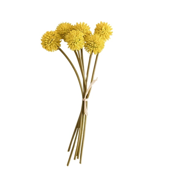 1 Stems Natural Dried Flower, Dried Flowers Balls, Flowers Arrangements Bouquet for Farmhouse Wedding Home Vase Party DIY Decor