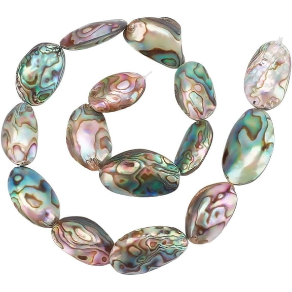 1 Strand 15pcs Abalone Shell Charms Natural Abalone Shell Beads Irregular Paua Shell Beads Loose Beads for Bracelet Earrings DIY Jewelry Making 15inch