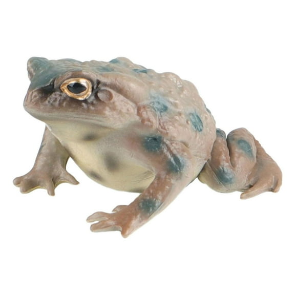 1 Toad Animal Ornament - Realistic Solid Frog and Animal Figurines for Kids Educational Reptile Toys Ideal for Birthday and Science Projects