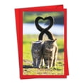 thumbnail image 1 of 1 Valentine's Day Card with Envelope - Loving Animals Cats C3504BVDG, 1 of 6
