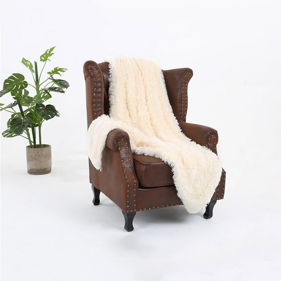 1 Warm Blanket Shaggy Long Faux Fur Throw Blanket Fuzzy Lightweight Plush Sherpa Fleece Blanket