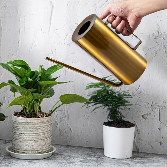 1 Water Can Watering Can Glass Small Water Can Indoor Rose Watering Can