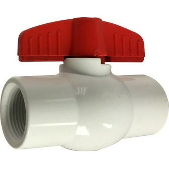 1 White Ips PVC Ball Valve, PVC Ball Valves, Plumbing Accessories