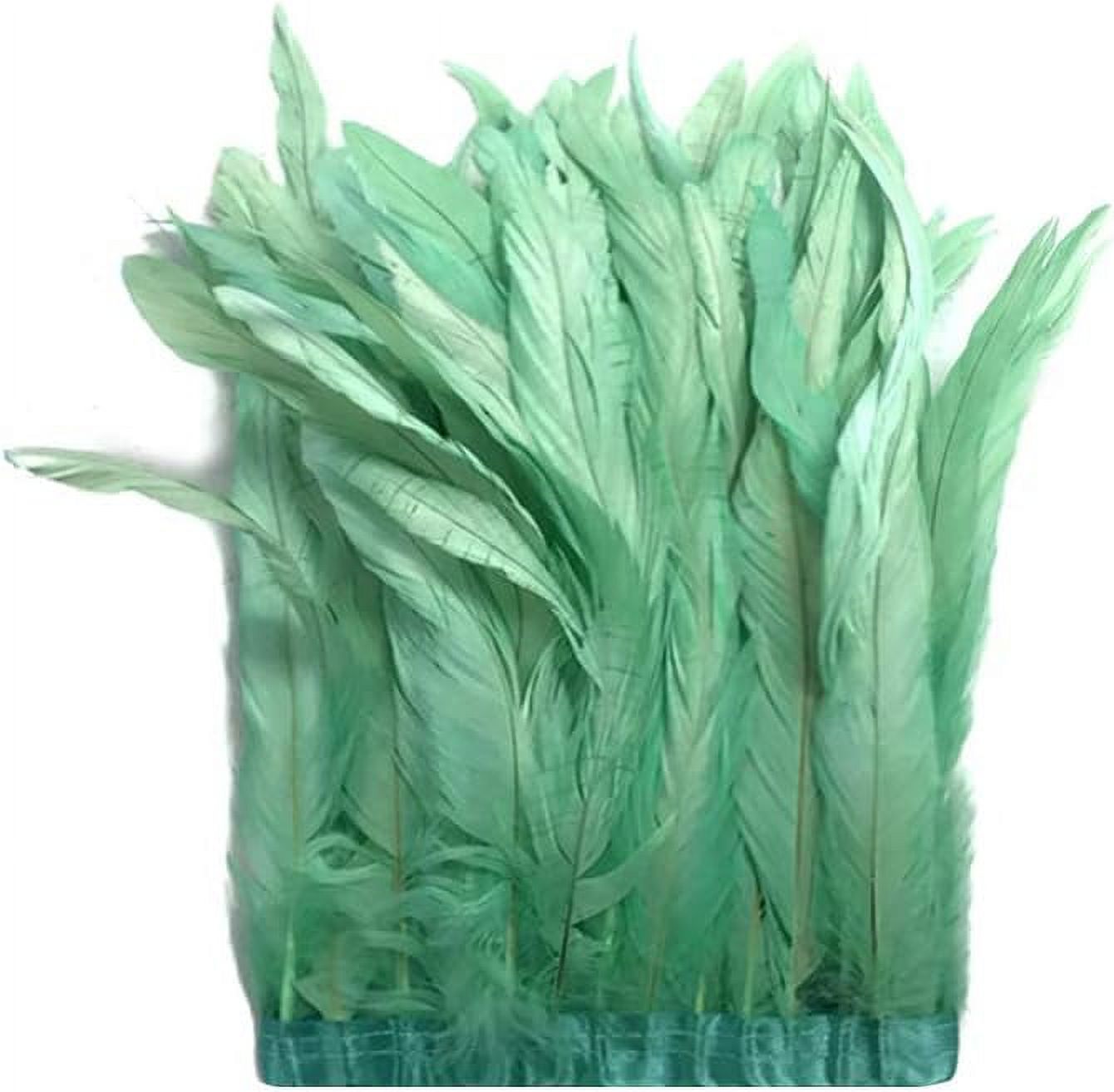 mardi gras party supply in bulk