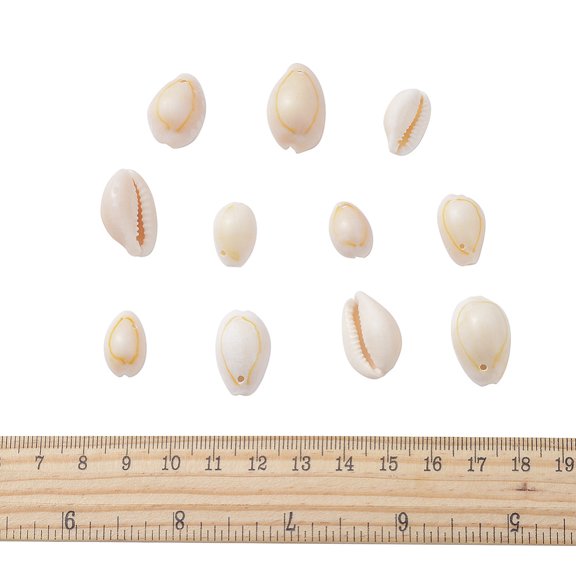 1 box Natural Cowrie Shell Beads Seashell color 14~20x20~23x9~13mm/10~19x7~12x5~10mm Hole: 1~2mm 120g/box