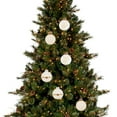 thumbnail image 1 of 1 box of 6 decorative 8CMPET transparent plant Christmas ball set Christmas decorations, 1 of 5