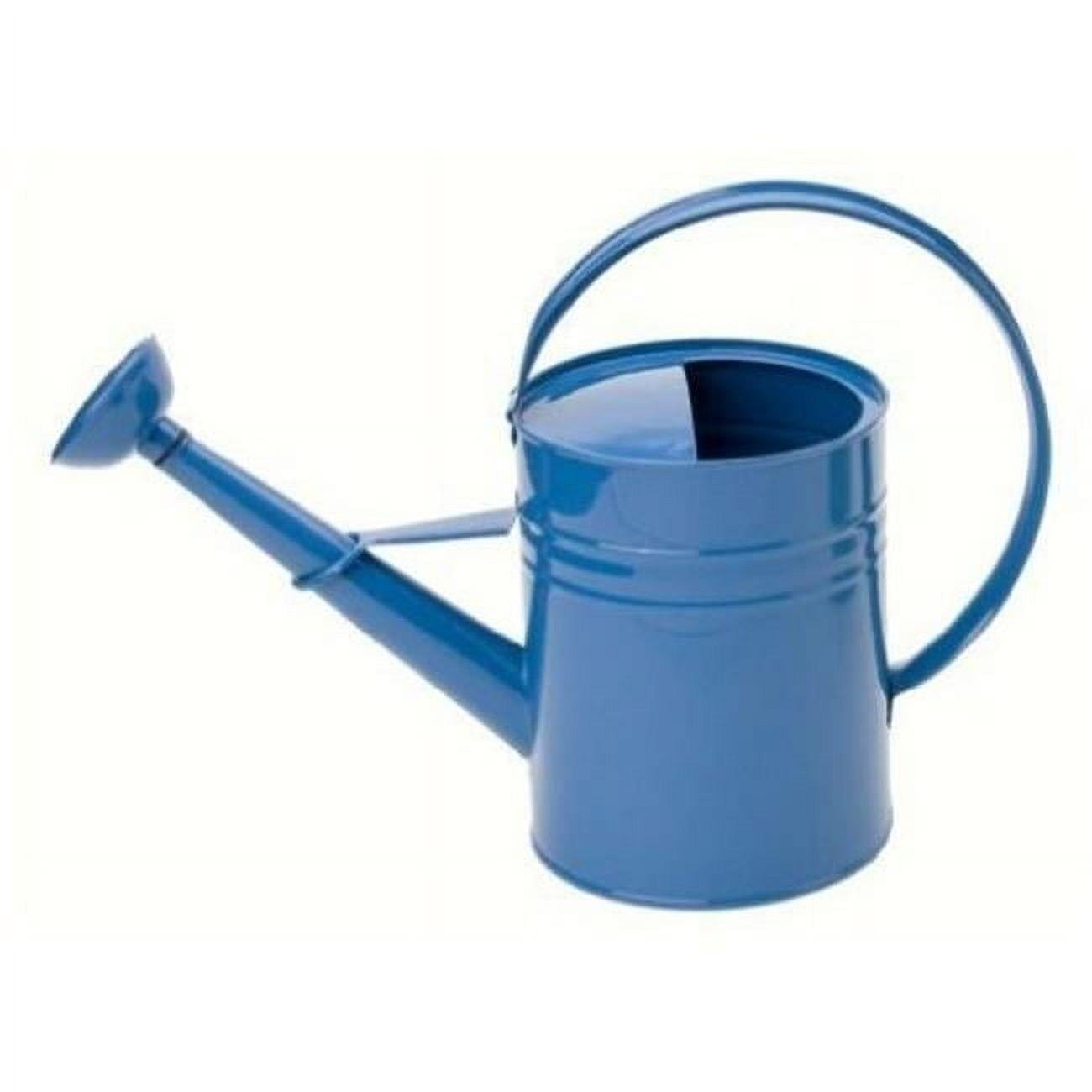 1 gal Enameled Galvanized Steel Watering Can with Removable Rosette, Blue