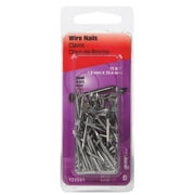 1 in. Bright Steel Common Nail