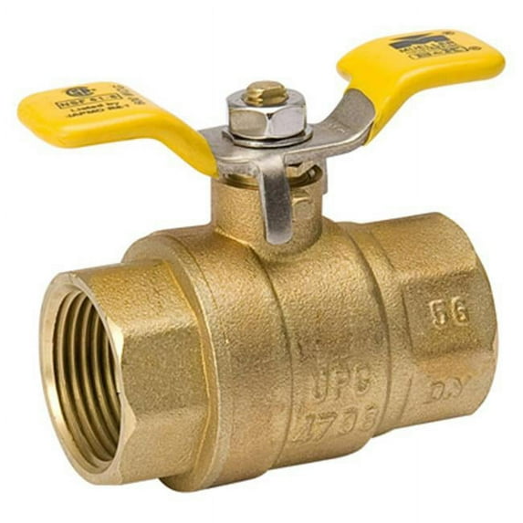 1 in. Forged Brass Female Pipe Thread Full Port Ball Valve
