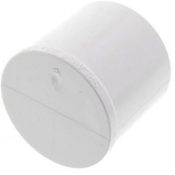 1 in. PVC Schedule 40 Plug, White