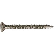 1 in. Phillips Ten Extension Screw