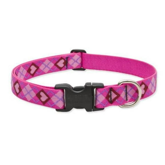 1 in. Puppy Love 16 in. - 28 in. Adjustable Dog Collar