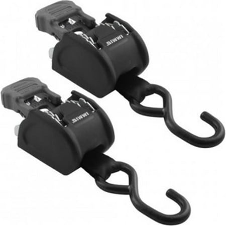 1 in. Retractable Transom Tie - Down System