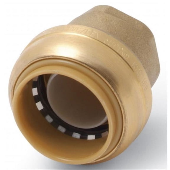 1 in. SharkBite Lead Free End Cap