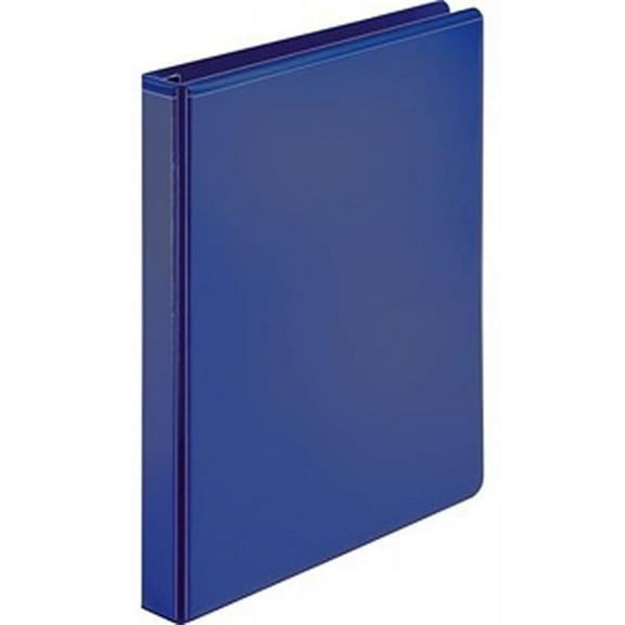1 in. View Economy D-ring Binder