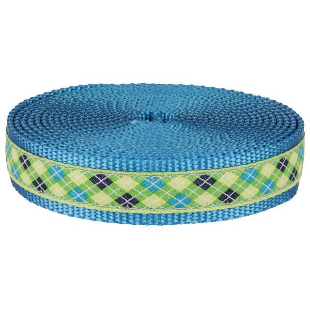 1 inch Lime Green and Blue Argyle Ribbon on Ice Blue Nylon bing