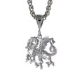 thumbnail image 1 of 1 inch Sterling Silver Small Dragon Pendant for Men Diamond Cut finish, 1 of 1